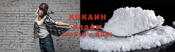 шишки Гусиноозёрск