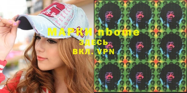 шишки Гусиноозёрск