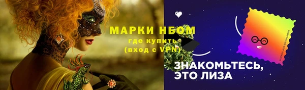 прущий лед Гусев