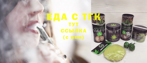 шишки Гусиноозёрск