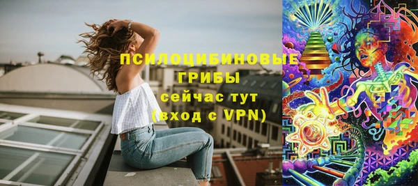 прущий лед Гусев