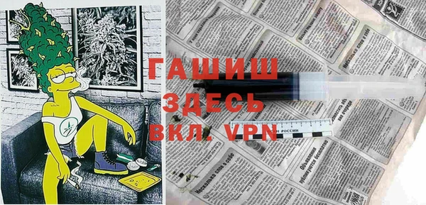 шишки Гусиноозёрск