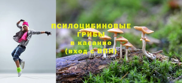 прущий лед Гусев