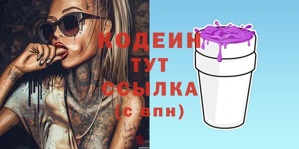 прущий лед Гусев