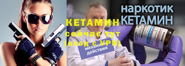 шишки Гусиноозёрск