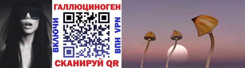 Купить где  Дегтярск  Галлюциногенные грибы ЛСД 